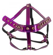 upriazhka-dlia-holovy-bad-kitty-head-harness-86215089378435_-96cced134b