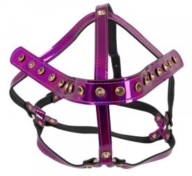 upriazhka-dlia-holovy-bad-kitty-head-harness-86215089378435_-96cced134b