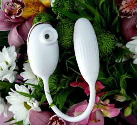 vakuumnyi-stymuliator-s-vybroiaitsom-high-end-suction-love-egg-white-38538215279699_-becc0ecd3c