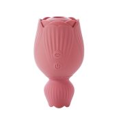 vybrator-dlia-klytora-tsvetok-dvustoronnyi-velvet-lure-rozovyi-91194075022188_-255d09bada