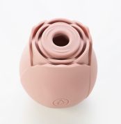 vybrator-v-forme-rozy-loveshop-tender-lover-bezhevyi-usb-13189615065366_-4c1d43d678