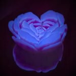 Cвiчка люмінісцентна низькотемпературна GlowKink фіолетова, М