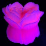 Cвiчка люмінісцентна низькотемпературна GlowKink рожева, L