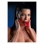 Кляп з декоративною трояндою Taboom Wild Roses Ball Gag чорний-червоний