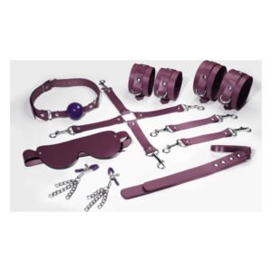 Набір Feral Feelings BDSM Kit 7 Burgundy, наручники, поножі, конектор, маска, падл, кляп, затискачі