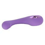 Вібратор для точки G FairyGasm BraveryAward violet