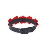 Нашийник з повідцем Liebe Seele Flower Rhythm - Black and Red Leather Flowers collar with Leash